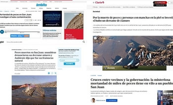 El caso de los peces muertos trascendió San Juan y llegó a medios nacionales 