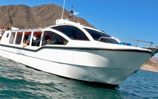 El catamarán de Punta Negra regresa este fin de semana