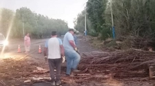 La tormenta en San Juan dejó árboles caídos que obstruyeron la Ruta 20