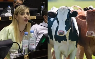 Proponen cobrar un impuesto a la emisión de gases de las vacas 