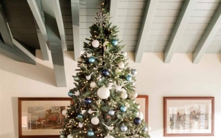 El árbol de Navidad y la abundancia según el Feng Shui