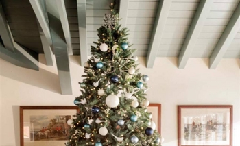 El árbol de Navidad y la abundancia según el Feng Shui