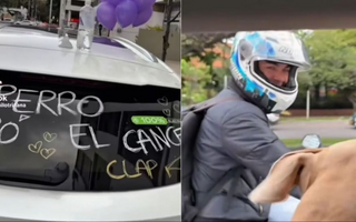 Un perrito venció el cáncer y su festejo se volvió viral