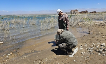 Ambiente desmiente los análisis de la UNCuyo y afirma que no hubo contaminación 