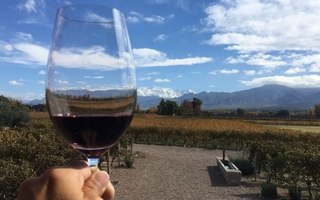 El ascenso del Cabernet Franc en Argentina: los secretos detrás de su éxito