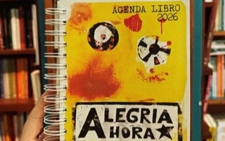 Una agenda que transforma: Alegría Ahora trae su proyecto educativo a San Juan