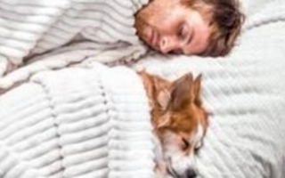 Dormir con mascotas puede afectar tu descanso