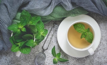 Seis beneficios del té de menta para incorporar a tu rutina diaria y cómo prepararlo