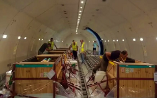 Inédito traslado de diez delfines argentinos a Egipto