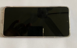 Robó un celular de una casa en Chimbas y fue detenido por la policía