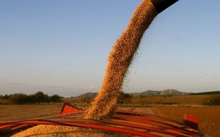 Se anunció la baja de retenciones a las exportaciones de granos