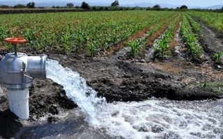 Cambios en la Ley de Emergencia Hídrica tras el reclamo de productores