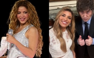 Mariana Brey acusó a Shakira de plagiar a Javier Milei