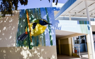 Ambiente inauguró una nueva obra artística y educativa en Zonda