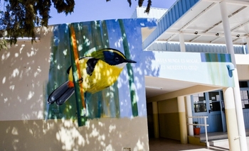 Ambiente inauguró una nueva obra artística y educativa en Zonda