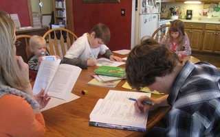 La reforma educativa habilita a que los niños no vayan a la escuela y "aprendan en casa"