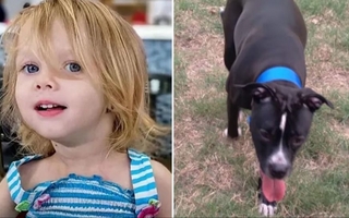 Padres dejaron que su hija fuera atacada por un pitbull hasta morir