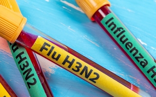 Gripe H3N2 variante K: mutación letal que provocaría otra pandemia