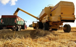 Trigo argentino: se concretó la primera exportación comercial a China