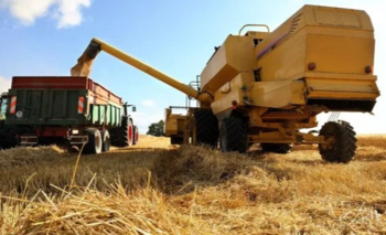 Trigo argentino: se concretó la primera exportación comercial a China