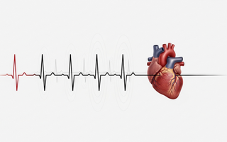 Frecuencia cardíaca: clave para entrenar seguro y mejorar