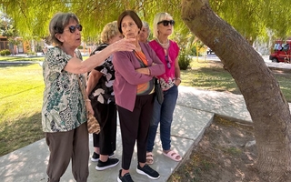 Robos y ataques en Santa Lucía: "Los ladrones simulan ser vendedores"