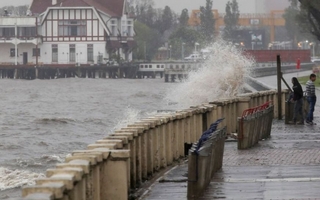 Detectaron viagra y otros medicamentos en aguas del Río de la Plata