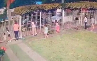 Una nena de 2 años fue atropellada por un patrullero y sufrió hundimiento de cráneo