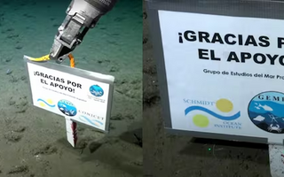 El Conicet inicia nueva transmisión en vivo desde el Mar Argentino tras ganar Martín Fierro de Oro