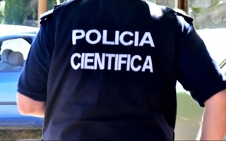 Hallan muerta a una jubilada junto a diez perros en una casa de Mar del Plata