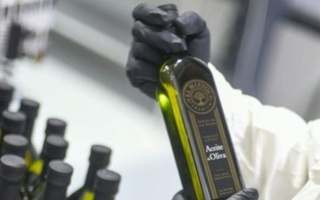 Ranking Global: San Juan se consagró como la capital del aceite de oliva argentino