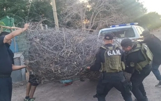 Recuperan 1.000 kilos de alambre tras persecución en Santa Lucía