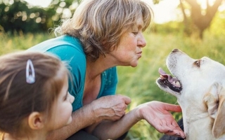 Descubrí cuáles son las razas de perros más tranquilos para ancianos