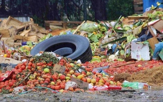 En la Argentina, cada persona desperdicia 72 kilos de alimentos por año
