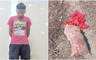 Quiso robar 22 kilos de tomates y fue detenido por los dueños de la finca