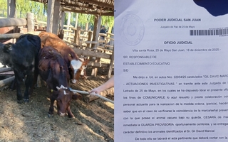 Tras un mes secuestrados, devolvieron un lote de ganado al hermano de Julián Gil