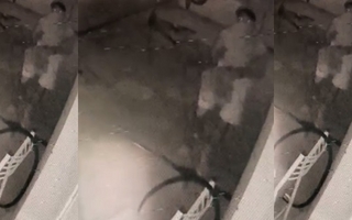 Robo filmado en la sede del SEP: se llevaron una costosa bicicleta