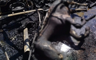 Dejaron las brasas del asado y un caballo murió incinerado en el corral