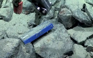 Insólito hallazgo en el fondo del Mar Argentino durante un streaming del Conicet