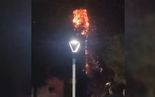 Villa San Damián: se prendió fuego una palmera por culpa de la pìrotecnia