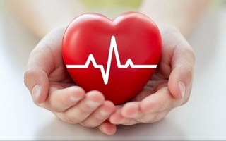 Cuánta agua se debe beber al día para cuidar el corazón y la presión arterial