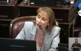 “Callate mamarracho”: fuerte cruce entre  entre dos senadoras 