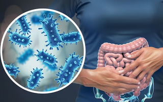 Siete errores comunes en la alimentación que perjudican el microbioma intestinal