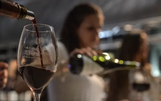 Desregulación del vino: con qué reglas se tendrán que manejar las empresas en la próxima vendimia
