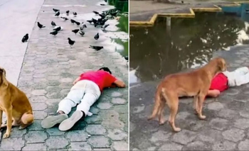 Estaba borracho, se durmió en la calle y su perro lo “despertó” como héroe