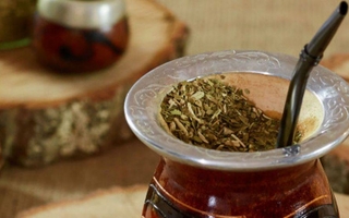 Estudio científico confirma que tomar mate aumenta la felicidad y mejora la función cerebral