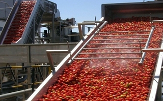 Guía completa: cómo acceder a los créditos para el agro en San Juan