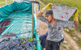 "Estamos acompañando a toda la agroindustria", dijo Fernández
