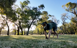 "Me identifico como un zorro": la búsqueda de identidad de un joven therian en Argentina